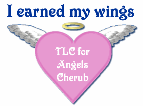 TLC for Angels Cherub Badge