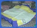 Anyone can help TLC, this blanket was made by a kind volunteer who is blind